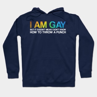 I'm Gay Rights Homosexual Lesbian Rainbow LGBT Pride Gift Hoodie